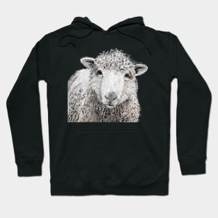 Sheep Head Painting Hoodie